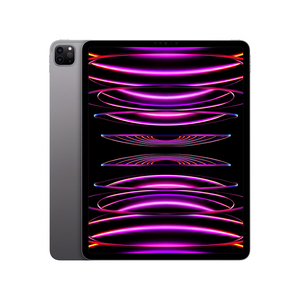 Brugt iPad Pro 11"  4. Gen (2022) Cellular fra Apple – testet og certificeret hos Green.dk